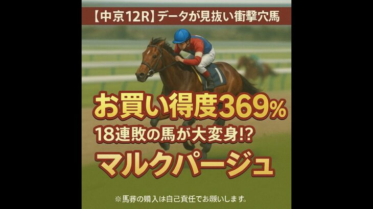 【0726中京競馬予想ダイジェスト】データで紐解く！中京競馬場【お買い得度369%】の激走穴馬！#競馬予想#中京競馬場#穴馬#マルクパージュ#競馬#データ競馬#AI競馬予想