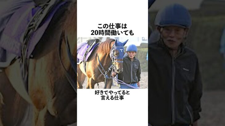 厩務員の1日。#厩務員 #競馬 #中央競馬 #中央競馬予想 #競馬予想 #競馬予想 #競馬