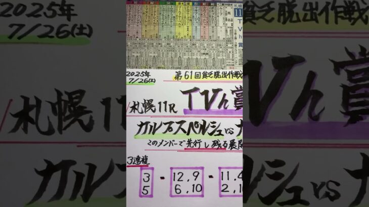 【競馬予想】札幌11R ＴＶｈ賞🏆🏇8月は1ヶ月夏休みします🌻