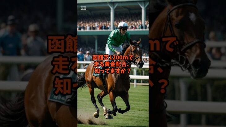 血統競馬函館1200 #競馬 #函館競馬場 #horse #競馬予想