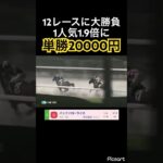 【発狂確定】川崎競馬12レースの1人気1.9倍に単勝20000円賭けてみた結果#競馬 #競馬予想 #jra #地方競馬 #ウマ娘 #ウマ娘プリティーダービー #ギャンブル #ギャンブル依存症 #武豊