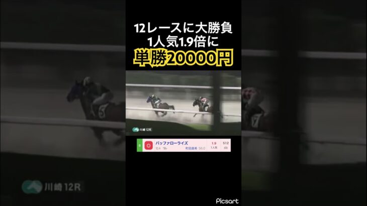 【発狂確定】川崎競馬12レースの1人気1.9倍に単勝20000円賭けてみた結果#競馬 #競馬予想 #jra #地方競馬 #ウマ娘 #ウマ娘プリティーダービー #ギャンブル #ギャンブル依存症 #武豊