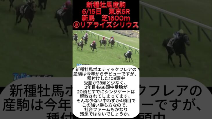 有力2歳馬情報　リアライズシリウス　#競馬 #競馬予想 #ウマ娘