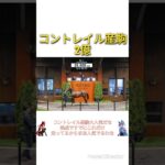 【セレクトセール】コントレイル産駒にいきなり2億　#競馬