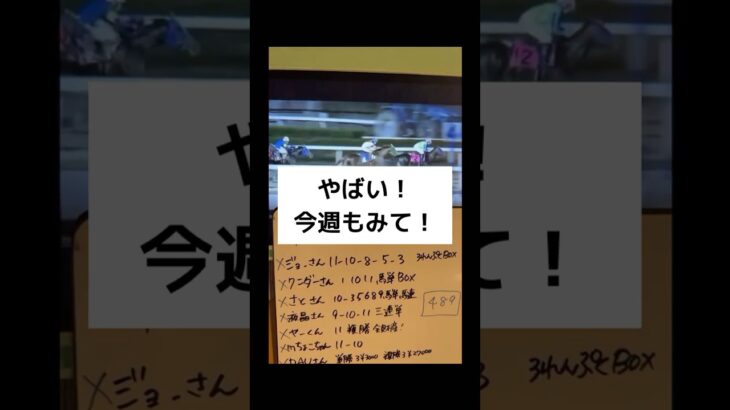 〜鈴の奇跡2週連続！〜 #フェレット #shorts #高知ファイナル #競馬予想 #ボール遊び #かわいい