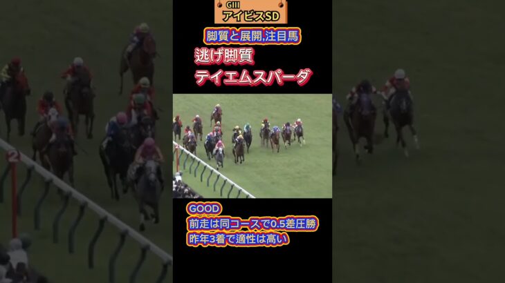 🐴[アイビスサマーダッシュ]出走馬の脚質と展開🐴#競馬予想 #競馬 #アイビスサマーダッシュ2025　#アイビスサマーダッシュ