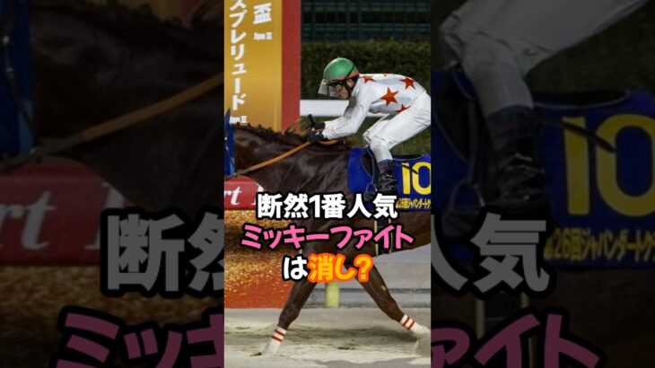 2025年帝王賞最予想＆買い目🤓#競馬#競馬予想#帝王賞#ミッキーファイト