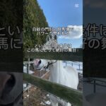 王冠賞の本命！#王冠賞 #王冠賞2025 #門別競馬 #門別競馬場 #門別 #門別重賞 #ソルジャーフィールド #競馬 #重賞 #競馬予想 #じょじょじょ競馬