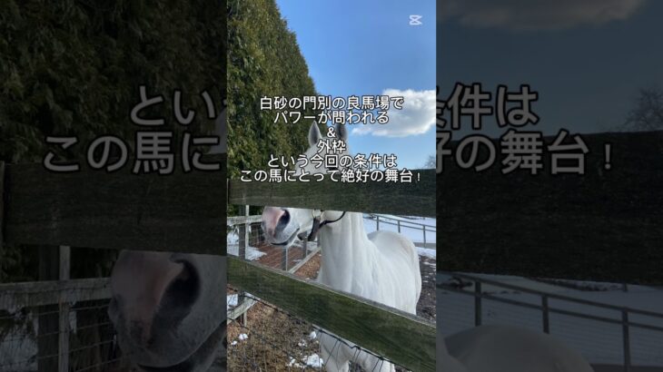 王冠賞の本命！#王冠賞 #王冠賞2025 #門別競馬 #門別競馬場 #門別 #門別重賞 #ソルジャーフィールド #競馬 #重賞 #競馬予想 #じょじょじょ競馬