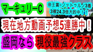 【競馬予想】マーキュリーカップ2025　連対率100%データ発見！？　体調万全なら1強です！！