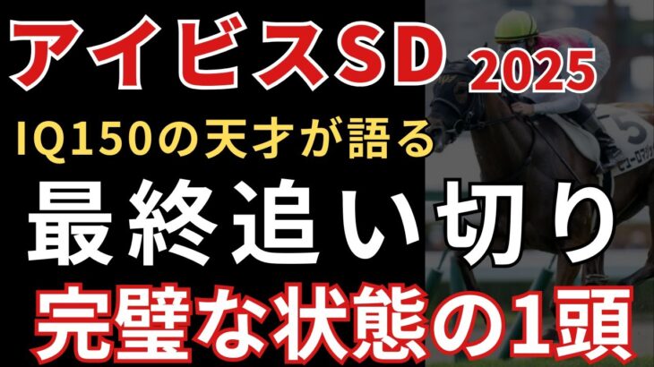 【アイビスサマーダッシュ2025 予想】追い切り徹底解説！加速ラップ11.5秒を叩き出した究極の1頭。人気馬との決定的な差を解説。