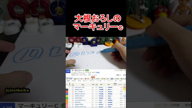 マーキュリーカップ2025！あのデータで決まる！ショート【競馬予想】 #大根おろし #競馬 #大予想 #マーキュリーカップ2025 #競馬に人生 #マーキュリーカップ