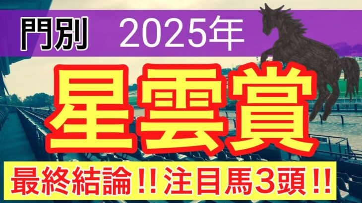 【星雲賞2025】蓮の地方競馬予想(最終結論)