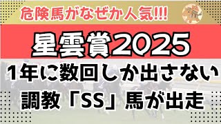 星雲賞・スパーキングサマーチャレンジ2025予想【門別競馬】全頭診断＋調教診断＋買い目