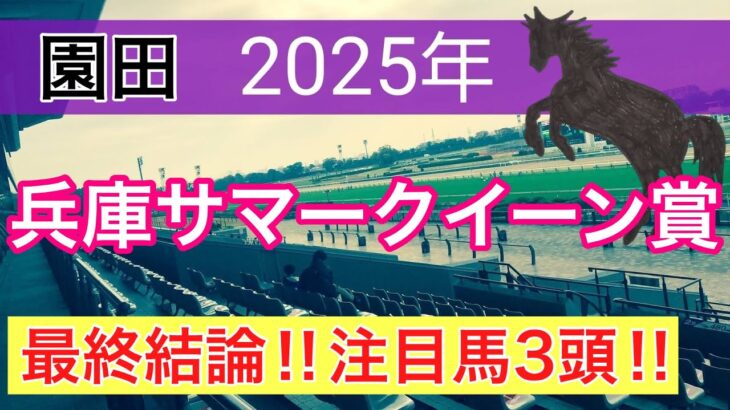 【兵庫サマークイーン賞2025】蓮の地方競馬予想(最終結論)