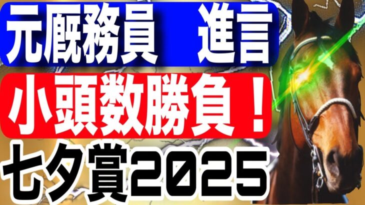 七夕賞2025全頭予想！今年の注目馬と見どころを元厩務員が徹底解説！