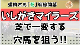 いしがきマイラーズ2025予想【盛岡競馬】全頭診断＋調教診断＋買い目