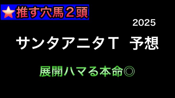 【地方競馬】　大井重賞　サンタアニタトロフィー　予想　2025