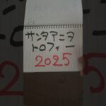 当たらない競馬予想。サンタマリアトロフィー2025