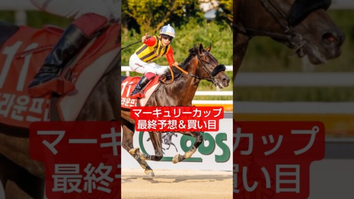 2025年マーキュリーカップ予想＆買い目🤓#競馬#競馬予想#地方競馬#万馬券