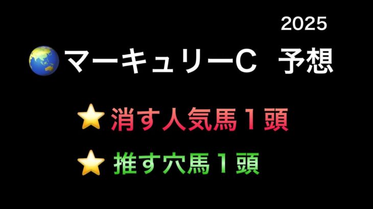 【地方競馬】　地方交流重賞　マーキュリーカップ　予想　2025