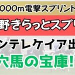 習志野きらっとスプリント2025予想【船橋競馬】全頭診断＋調教診断＋買い目