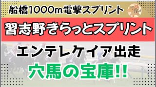 習志野きらっとスプリント2025予想【船橋競馬】全頭診断＋調教診断＋買い目