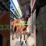 【競馬予想】七夕賞2025 note『人生逆転競馬』#中央競馬予想　#夏競馬 #波乱 #福島