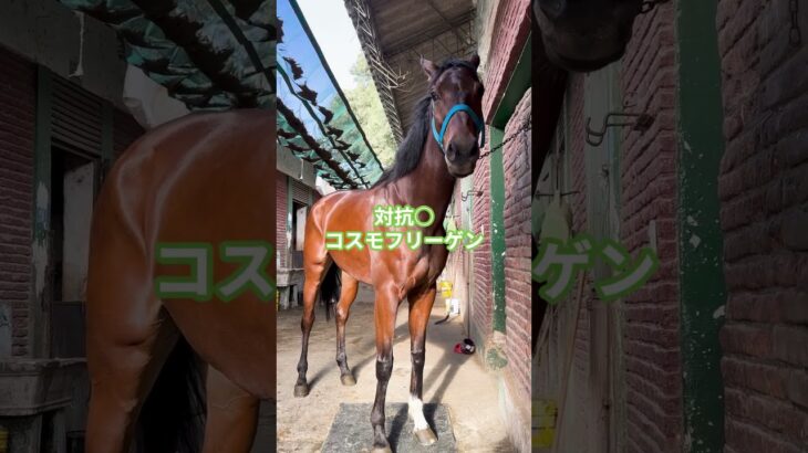 【競馬予想】七夕賞2025 note『人生逆転競馬』#中央競馬予想　#夏競馬 #波乱 #福島