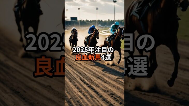 2025年注目新馬　#競馬 #競馬予想 #ドラマ #おすすめ #新馬 #pog