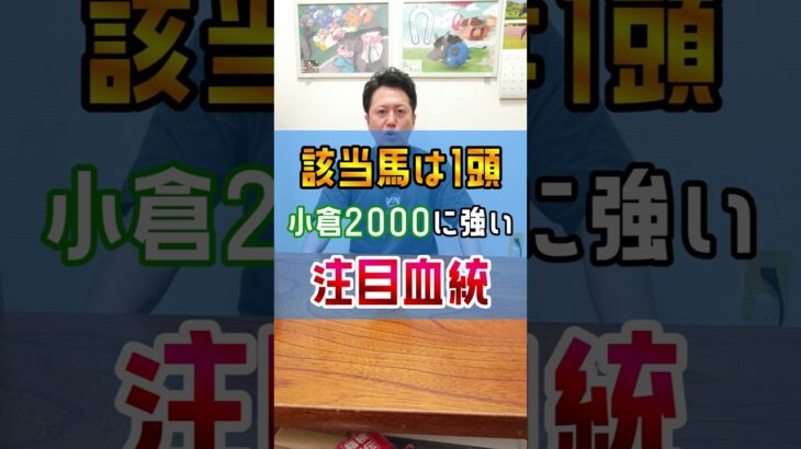 【小倉記念2025】あの血統に注目🏇 #shorts #競馬 #予想 #リカンカブール