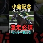 【小倉記念2025】オススメ穴馬/スズカダブル#競馬 #競馬予想 #中央競馬予想 #小倉記念#スズカダブル#shorts