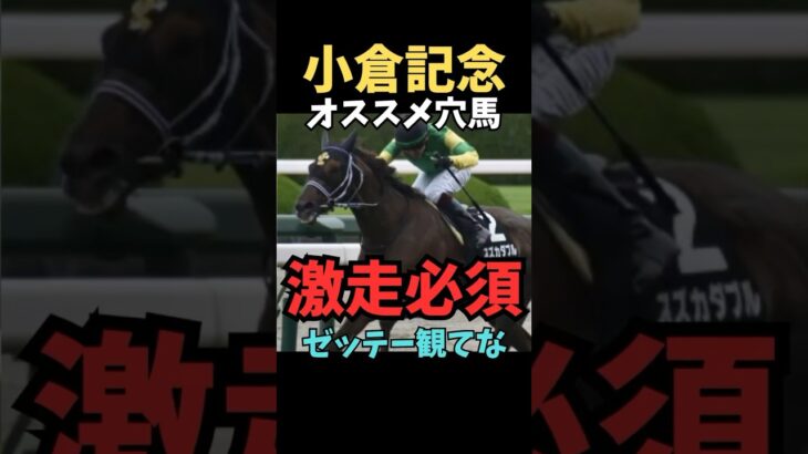 【小倉記念2025】オススメ穴馬/スズカダブル#競馬 #競馬予想 #中央競馬予想 #小倉記念#スズカダブル#shorts
