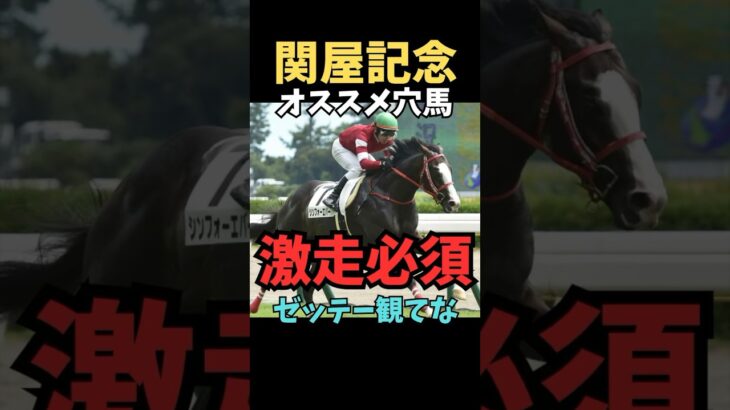 【関屋記念2025】オススメ穴馬/シンフォーエバー#競馬 #競馬予想 #関屋記念 #シンフォーエバー#中央競馬予想 #shorts