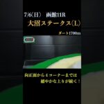 【買っちゃえばいいじゃん】大沼ステークス(Ｌ) 2025 #競馬予想 #win5
