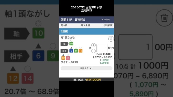 20250712 #中央競馬予想 #中央競馬 #函館11r #函館競馬場 #五稜郭 #五稜郭ステークス