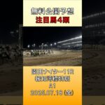 20250718　園田競馬　11R　報知澪標特別　無料公開予想　#競馬 #地方競馬予想 #競馬予想 #地方競馬