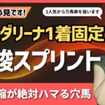 【優駿スプリント2025】リオンダリーナを三連単1着固定で万馬券を狙ってみた【地方競馬】