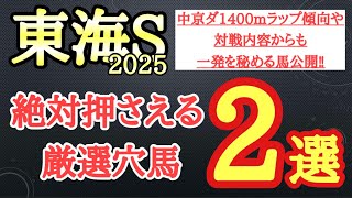 【東海ステークス2025】厳選穴馬予想！中京ダート1400ｍのラップ傾向や近走のレース内容などで一発の可能性秘める2頭公開！