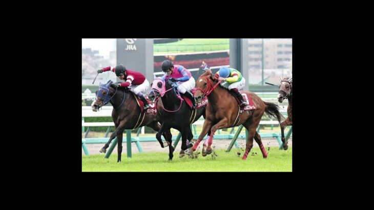 関屋記念2025予想関屋記念,ボンドガール,ルメール,新潟競馬,新潟1600m,競馬予想,競馬,重賞予想,競馬女子,競馬初心者,競馬解説,関屋記念2025,競馬2025,