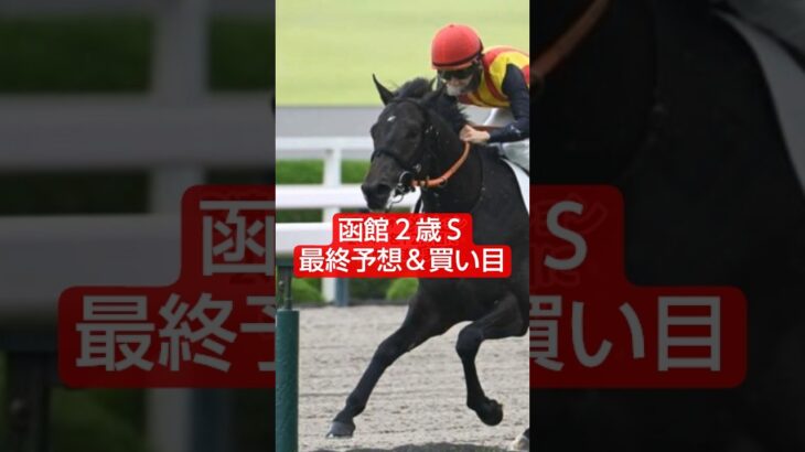 2025年函館２歳Ｓ予想＆買い目🤓#競馬#競馬予想#函館2歳ステークス #万馬券