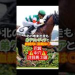 2025年巴賞注目馬3頭🤓#競馬 #競馬予想 #万馬券 #函館競馬場