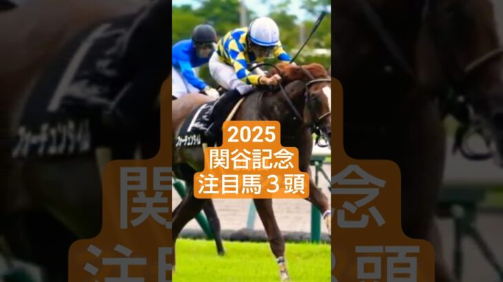 2025年関谷記念注目馬3頭🤓#競馬 #競馬予想 #関谷記念  #万馬券#新潟競馬場