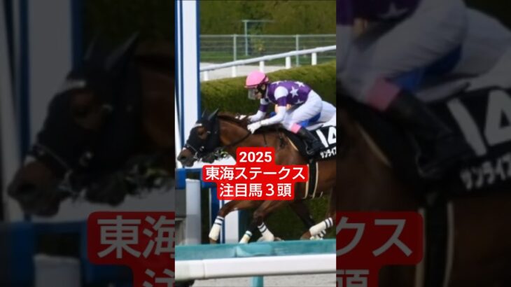 2025年東海Ｓ注目馬3頭🤓#競馬  #競馬予想  #東海ステークス #万馬券#中京競馬