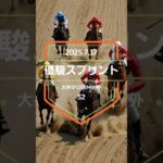 【優駿スプリント 2025】上位5頭予想！南関東競馬、3歳限定牡牝混合重賞、優駿スプリントの開催です。リオンダリーナ、ハセノブライアン、フィエレッツァ、ハーフブルーらが出走。