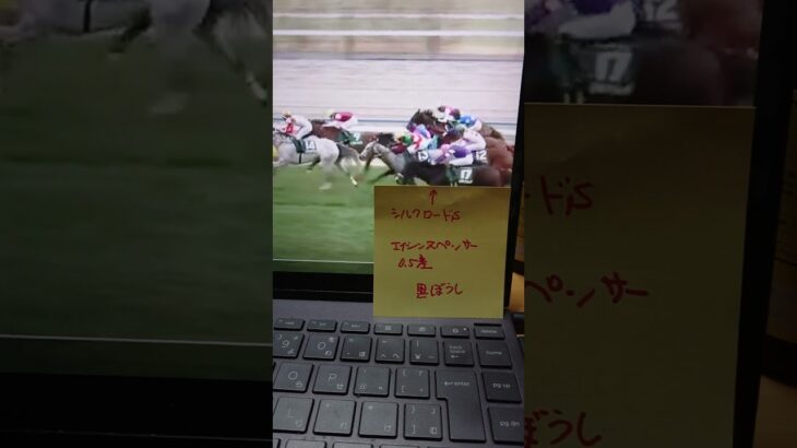【北九州記念競馬予想】懲りないおじさんの競馬予想。2025年7月5日 #北九州記念 #競馬予想