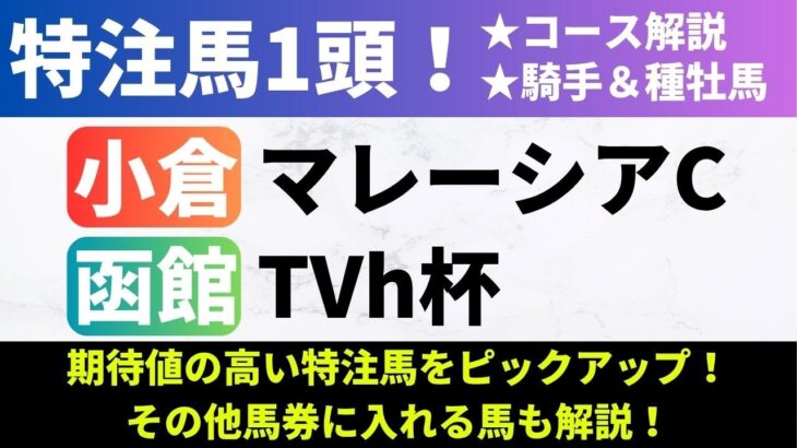 【2025マレーシアC/TVh杯_予想】TVh杯の特注馬は五分のスタートで巻き返すチャンスがあるあの馬！