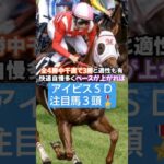 2025年アイビスSD注目馬3頭🤓#競馬 #競馬予想 #アイビスサマーダッシュ   #万馬券#新潟競馬場