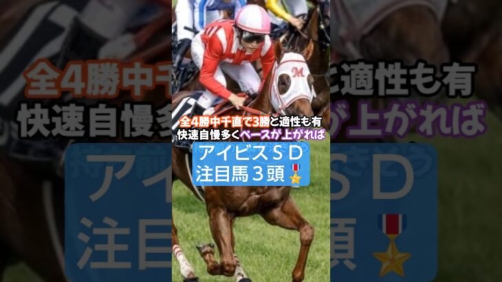 2025年アイビスSD注目馬3頭🤓#競馬 #競馬予想 #アイビスサマーダッシュ   #万馬券#新潟競馬場