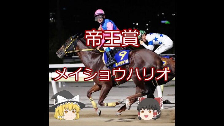 【2025帝王賞】メイショウハリオ＃競馬予想＃競馬#shorts